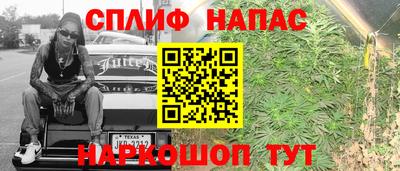 гашик Донской