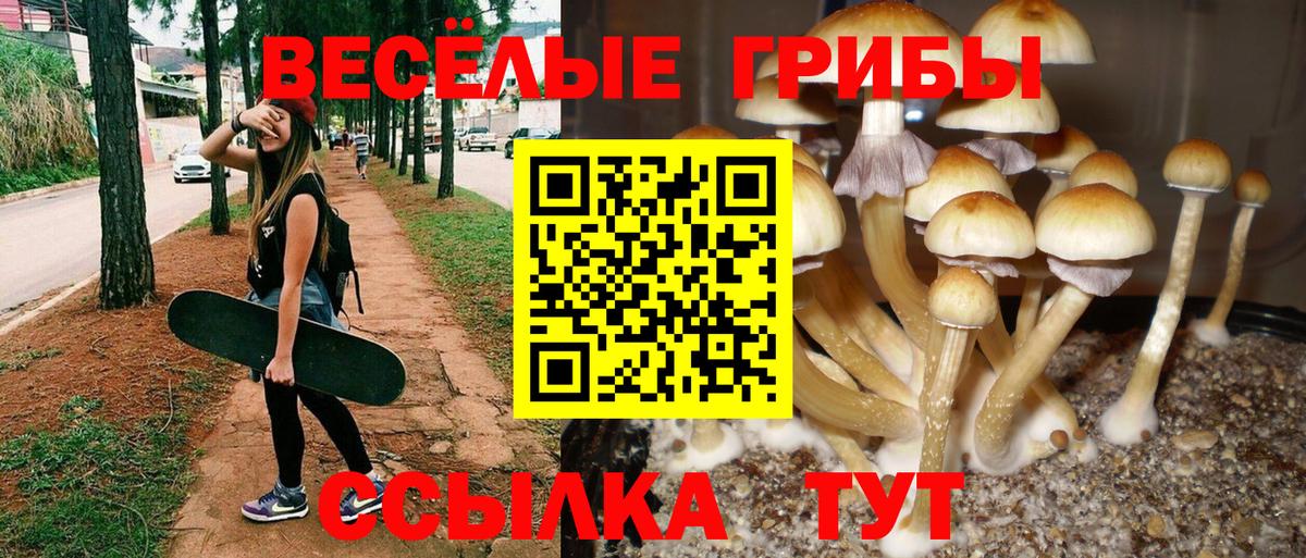 Луховицы  Галлюциногенные грибы Cubensis  Вход с VPN  Псилоцибиновые грибы прущие грибы 